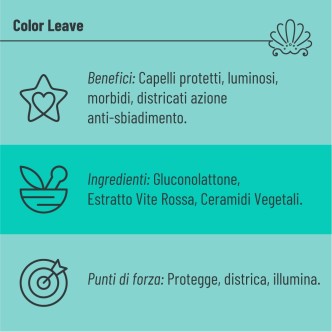 Shampoo Proteggi Colore con Olio di Macadamia e Ceramidi